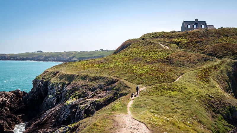 The Cliff Path, Guernsey